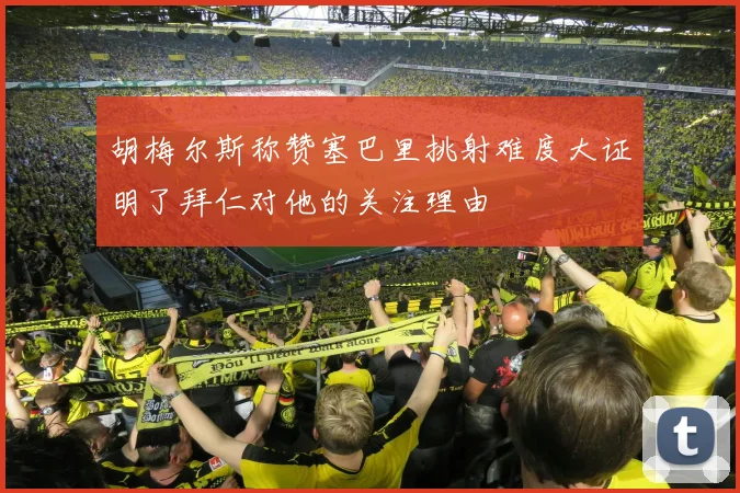 胡梅尔斯称赞塞巴里挑射难度大证明了拜仁对他的关注理由